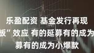 乐盈配资 基金发行再现“跷跷板”效应 有的延募有的成为小爆款